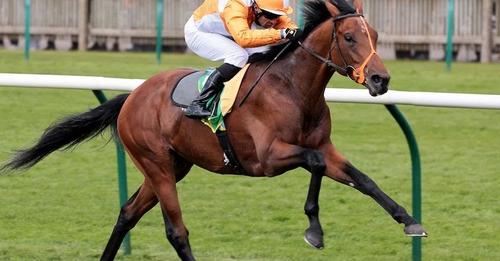 Jayarebe Obituary-Death News; British Royal Ascot winner collapses and dies after finishing seventh in Breeders’ Cup Turf