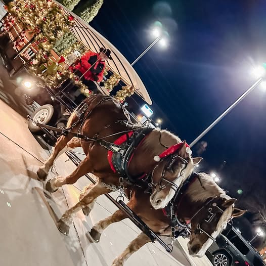Toledo Mourns Dennis Dostal, Beloved ‘Man Behind the Horses’ of Holiday Hoopla
