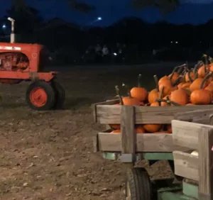 Paulding County Mourns Tragic Loss of McGarity Elementary Student After Drowning at Carlton Farms