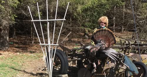 La Crosse County Mourns the Tragic Loss of Janice Symiczek in Highway 53 Crash