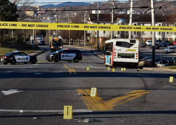 Saint John Police Investigate Fatal Collision Involving Saint John Transit Bus