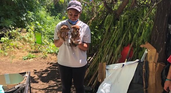 Chico State Senior Alexandra Wynter, 28, Killed in Apparent Murder-Suicide Days Before Graduation